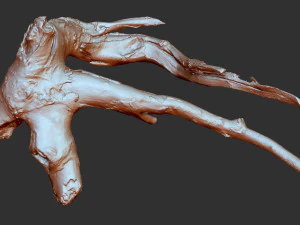 Tree root 3d scan in highpoly 3D Model