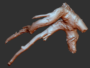 Tree root 3d scan in highpoly 3D Model
