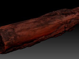 Real World Tree trunk 3d scan in highpoly 3D Model