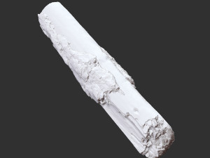 Real World Tree trunk 3d scan in highpoly 3D Model