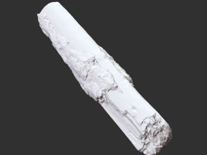 Real World Tree trunk 3d scan in highpoly 3D Model