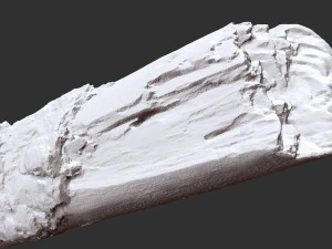 Real World Tree trunk 3d scan in highpoly 3D Model