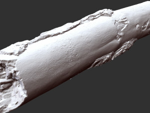 Real World Tree trunk 3d scan in highpoly 3D Model