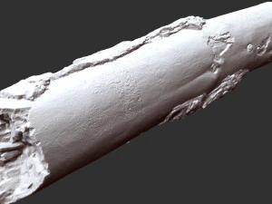 Real World Tree trunk 3d scan in highpoly 3D Model