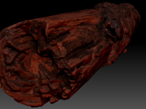 Real World Tree trunk 3d scan in highpoly 3D Model