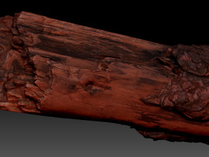 Real World Tree trunk 3d scan in highpoly 3D Model