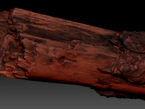 Real World Tree trunk 3d scan in highpoly 3D Model