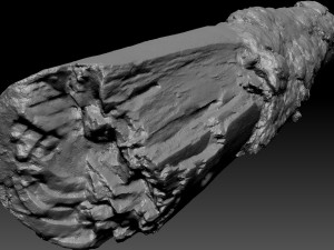 Real World Tree trunk 3d scan in highpoly 3D Model