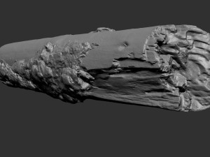 Real World Tree trunk 3d scan in highpoly 3D Model