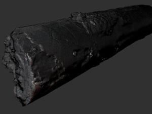 Real World Tree trunk 3d scan in highpoly 3D Model