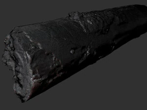 Real World Tree trunk 3d scan in highpoly 3D Model