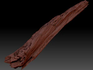 Peeling tree trunk in the real world 3d scan 3D Model