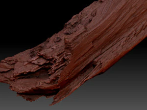 Peeling tree trunk in the real world 3d scan 3D Model