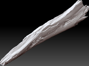 Peeling tree trunk in the real world 3d scan 3Dモデル