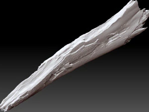 Peeling tree trunk in the real world 3d scan 3D Model