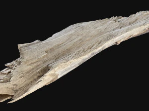Peeling tree trunk in the real world 3d scan 3D Model