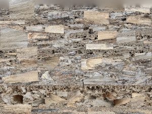 Peeling tree trunk in the real world 3d scan 3Dモデル