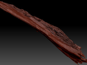 Peeling tree trunk in the real world 3d scan 3Dモデル