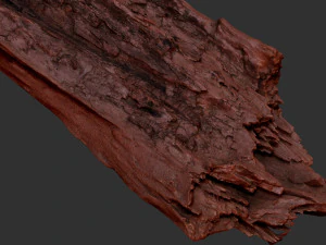Peeling tree trunk in the real world 3d scan 3D Model