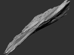 Peeling tree trunk in the real world 3d scan 3D Model
