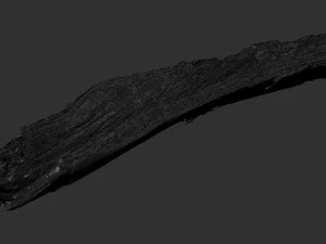 Peeling tree trunk in the real world 3d scan 3D Model