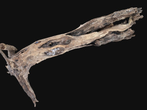 Dead old tree of the real world 3d scan 3D Модель
