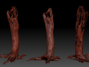 Dead old tree of the real world 3d scan 3D Модель