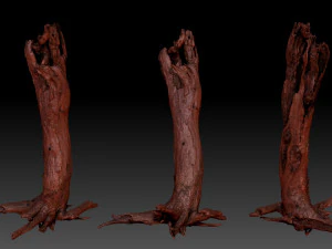 Dead old tree of the real world 3d scan 3D Model