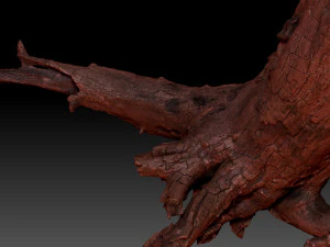 Dead old tree of the real world 3d scan 3D Model