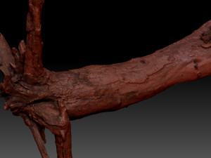 Dead old tree of the real world 3d scan 3D Модель