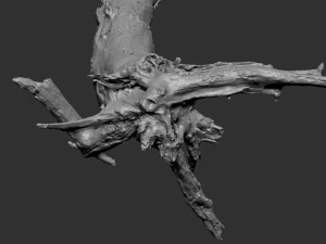 Dead old tree of the real world 3d scan 3D Model