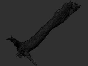 Dead old tree of the real world 3d scan 3D Модель