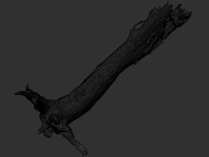 Dead old tree of the real world 3d scan 3D Model