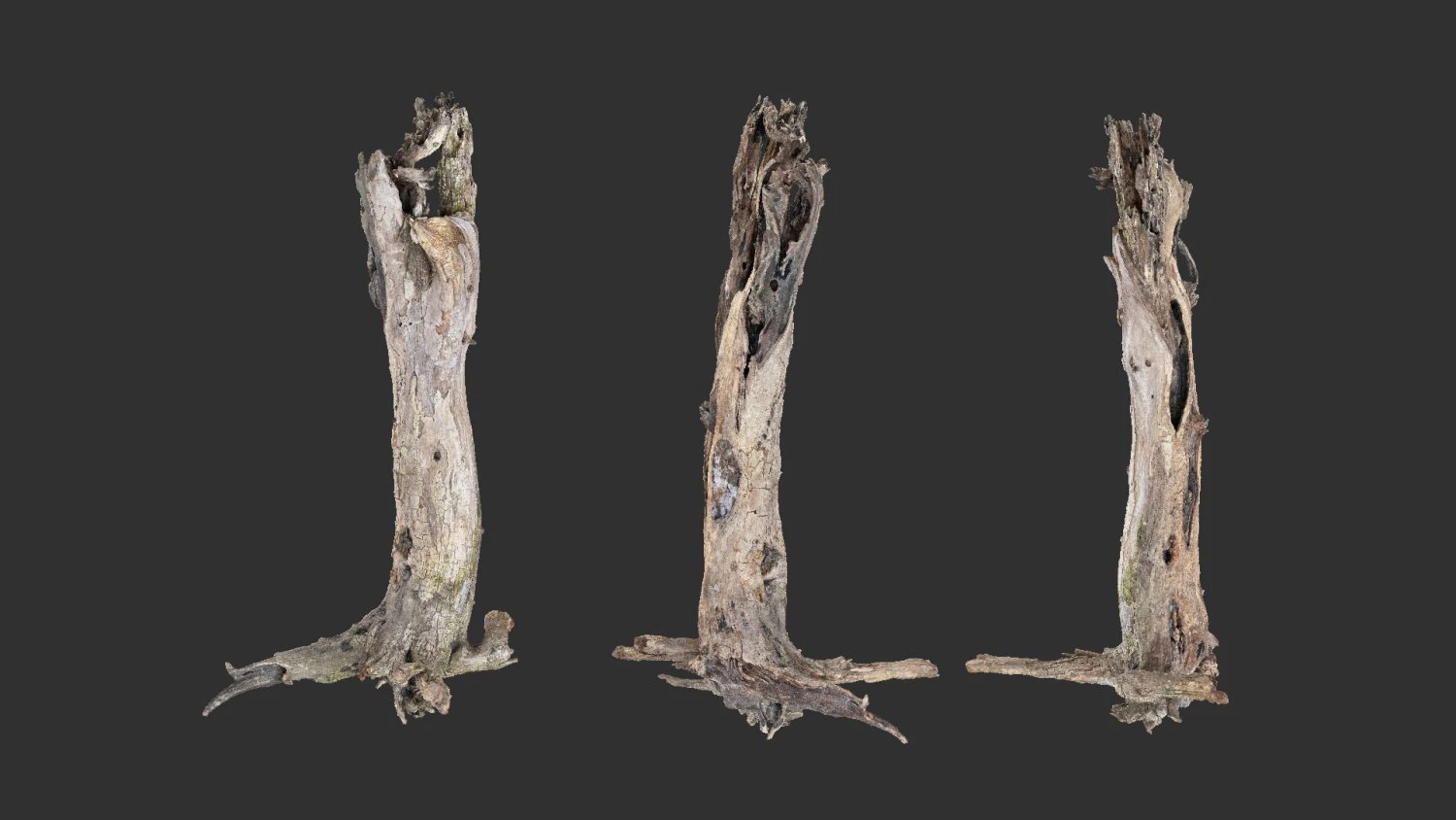 Dead old tree of the real world 3d scan 3D Model .c4d .max .obj .3ds .fbx .stl .blend