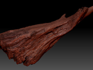Dead Tree Root 3D Scan in highpoly 3D Model
