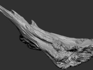 Dead Tree Root 3D Scan in highpoly 3D Model