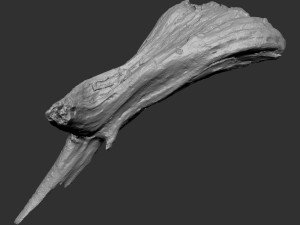 Dead Tree Root 3D Scan in highpoly 3D Model