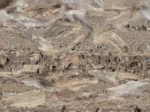 Dead Tree Root 3D Scan in highpoly 3D Model