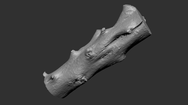 Baumstamm Holz ZBrush Gravur Highpoly 3D Modell .c4d .max .obj .3ds .fbx .stl .blend