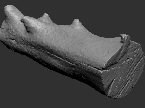 Baumstamm Holz ZBrush Gravur Highpoly 3D Modell