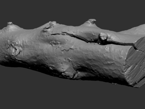 Baumstamm Holz ZBrush Gravur Highpoly 3D Modell