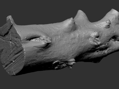 Baumstamm Holz ZBrush Gravur Highpoly 3D Modell
