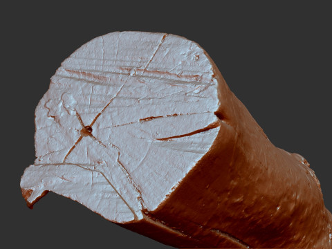 Baumstamm Holz ZBrush Gravur Highpoly 3D Modell