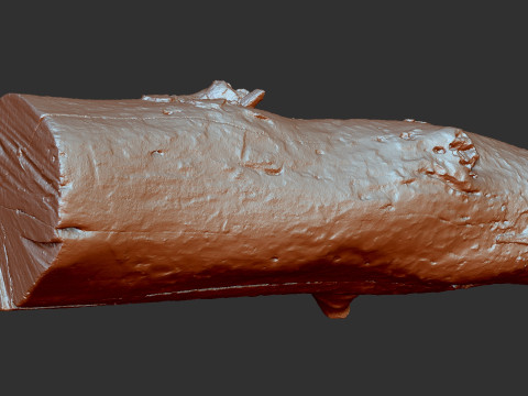 Baumstamm Holz ZBrush Gravur Highpoly 3D Modell