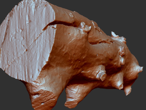 Baumstamm Holz ZBrush Gravur Highpoly 3D Modell