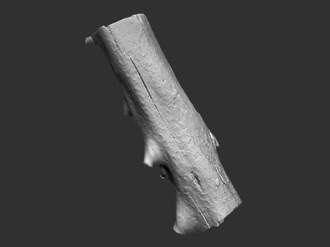 Baumstamm Holz ZBrush Gravur Highpoly 3D Modell
