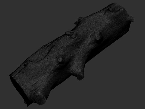 Baumstamm Holz ZBrush Gravur Highpoly 3D Modell