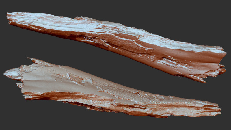 पेड़ के तने को छीलना लकड़ी जेडब्रश उत्कीर्णन हाईपोली 3D मॉडल .c4d .max .obj .3ds .fbx .stl .blend 