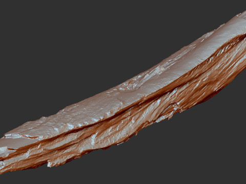 पेड़ के तने को छीलना लकड़ी जेडब्रश उत्कीर्णन हाईपोली 3D मॉडल