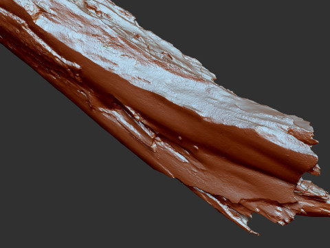 पेड़ के तने को छीलना लकड़ी जेडब्रश उत्कीर्णन हाईपोली 3D मॉडल